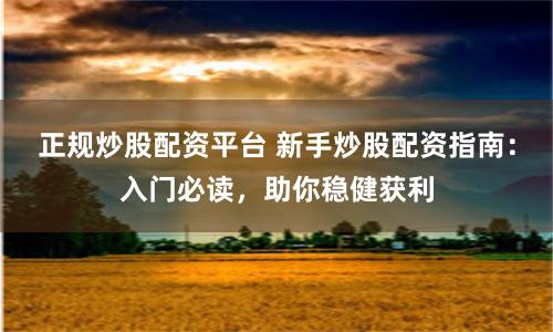 正规炒股配资平台 新手炒股配资指南：入门必读，助你稳健获利