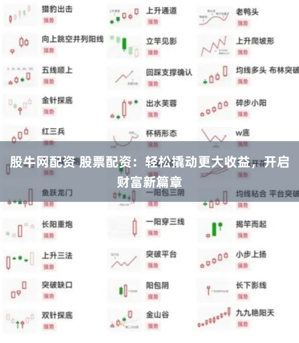 股牛网配资 股票配资：轻松撬动更大收益，开启财富新篇章
