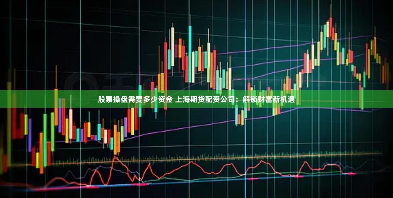 股票操盘需要多少资金 上海期货配资公司：解锁财富新机遇