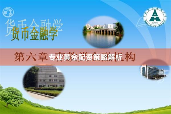 专业黄金配资策略解析
